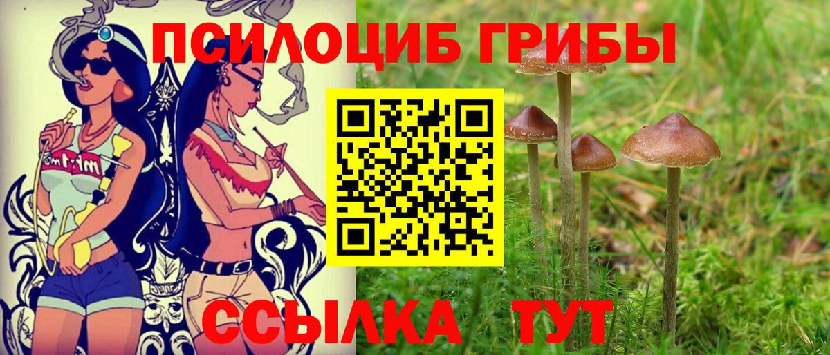 Галлюциногенные грибы MAGIC MUSHROOMS Урюпинск