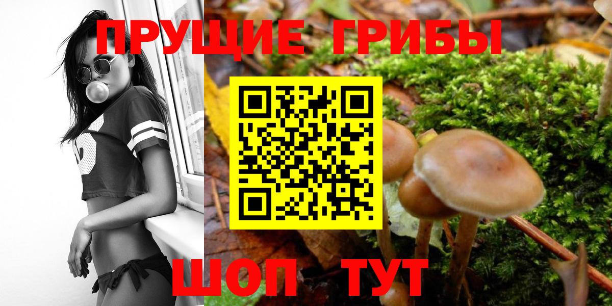 Галлюциногенные грибы GOLDEN TEACHER  Вход с VPN  Урюпинск 